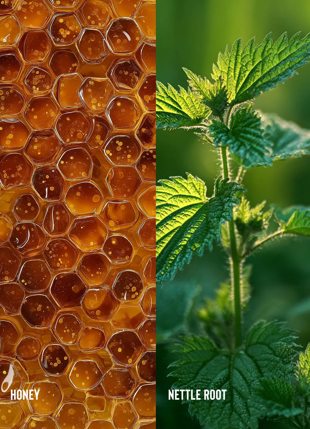 Honeycomb Curl Whip Texture-Defining Supercream